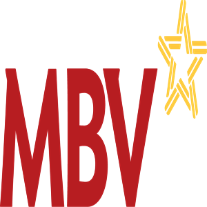 Ngân hàng TNHH MTV VIỆT NAM HIỆN ĐẠI